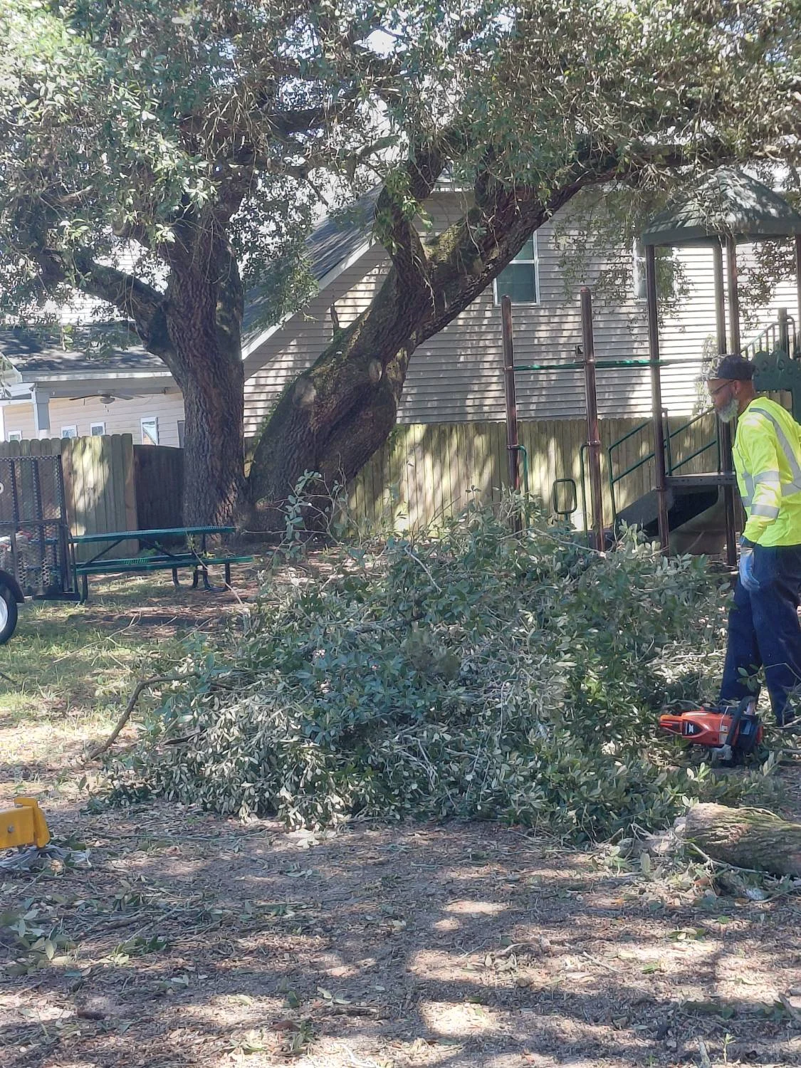 LVJ crew member trimming oak branches with a chainsaw